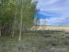 1599 Campfire Road Hartsel, CO 80449