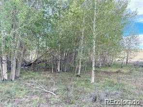 1599 Campfire Road Hartsel, CO 80449