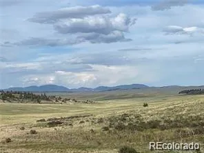 1599 Campfire Road Hartsel, CO 80449
