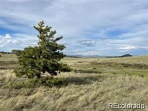 1599 Campfire Road Hartsel, CO 80449