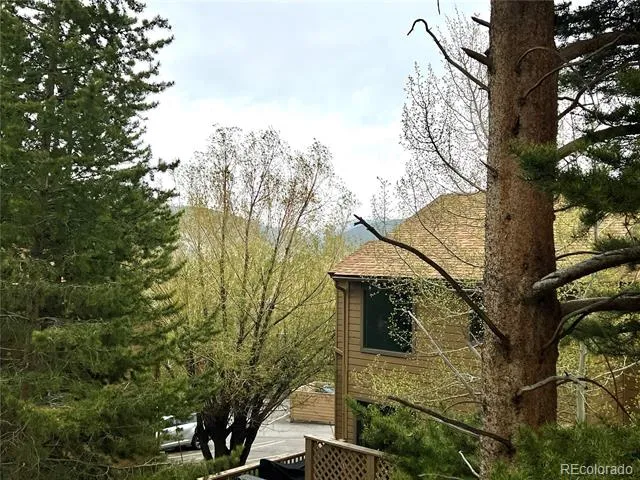 6722 Ryan Gulch Road #6722 Silverthorne, CO 80498