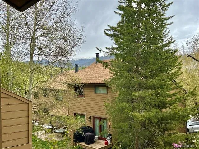 6722 Ryan Gulch Road #6722 Silverthorne, CO 80498