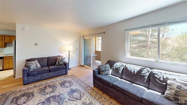 6722 Ryan Gulch Road #6722 Silverthorne, CO 80498