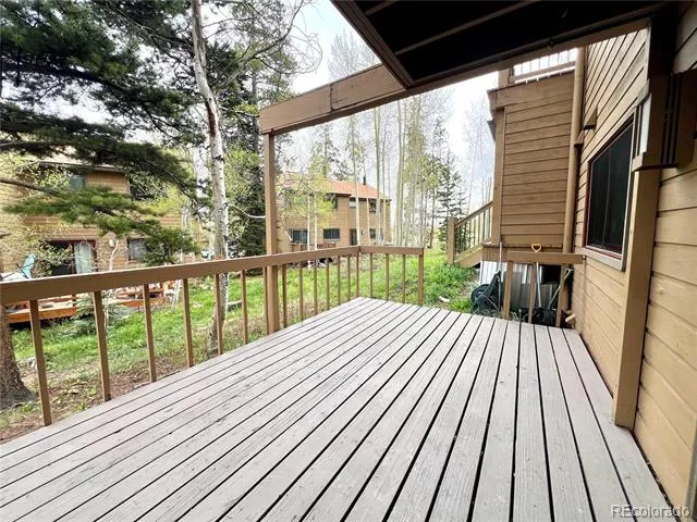 6722 Ryan Gulch Road #6722 Silverthorne, CO 80498