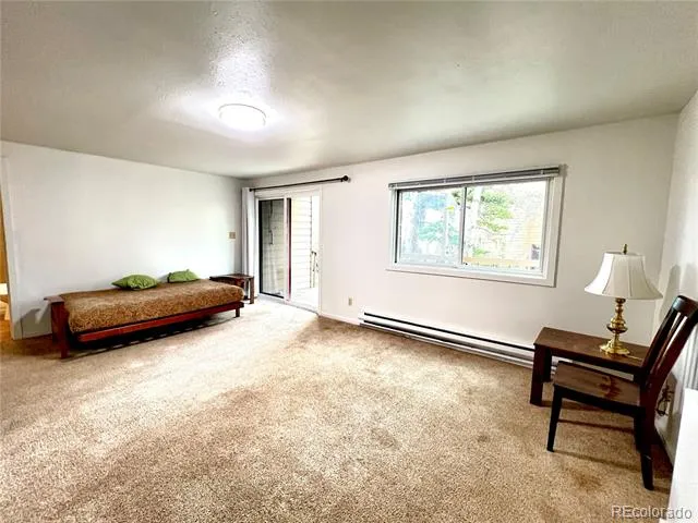 6722 Ryan Gulch Road #6722 Silverthorne, CO 80498