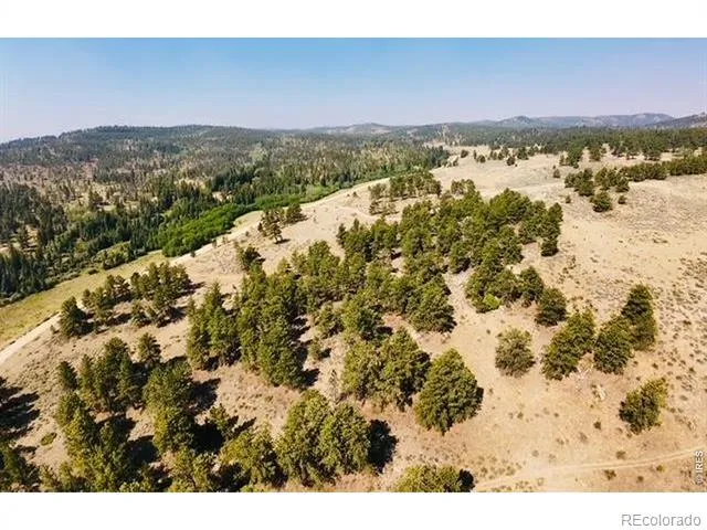 21424 W County Road 80c Livermore, CO 80536