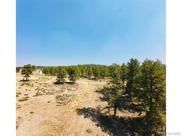 21424 W County Road 80c Livermore, CO 80536