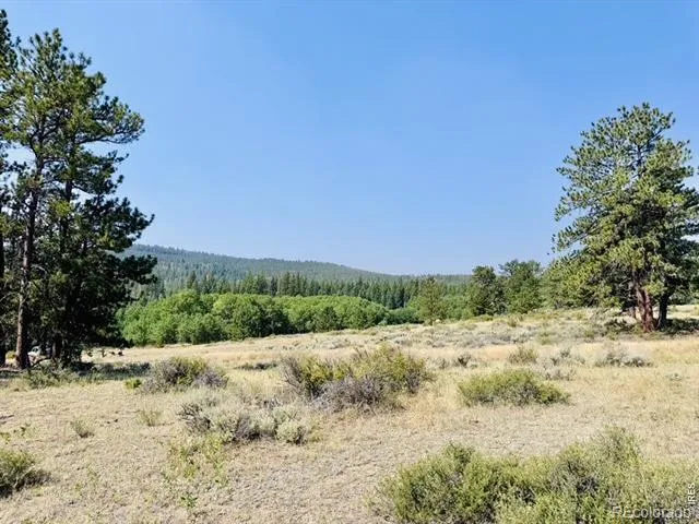 21424 W County Road 80c Livermore, CO 80536