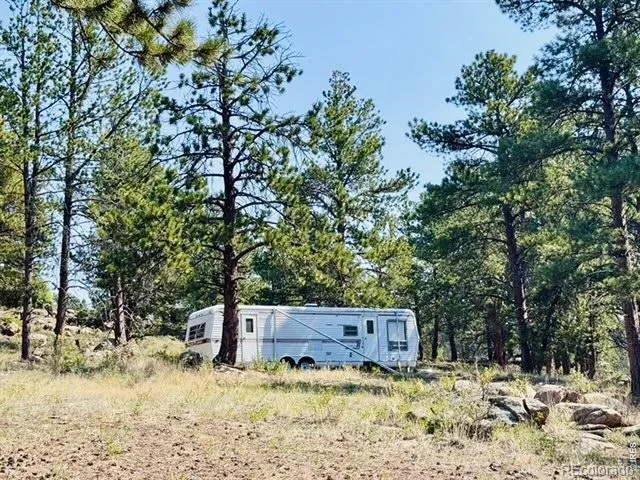 21424 W County Road 80c Livermore, CO 80536