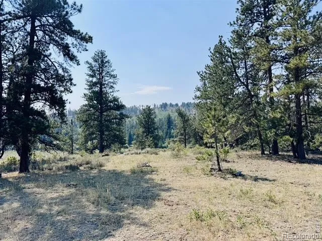 21424 W County Road 80c Livermore, CO 80536
