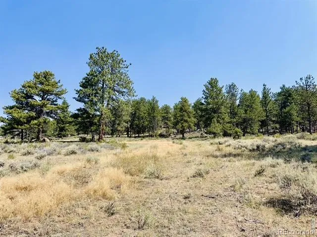 21424 W County Road 80c Livermore, CO 80536