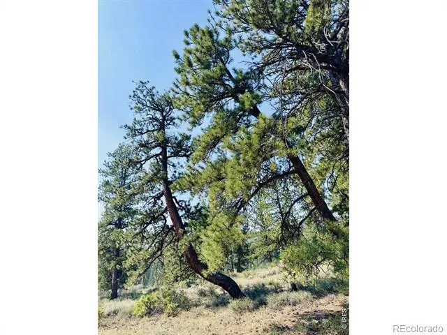 21424 W County Road 80c Livermore, CO 80536