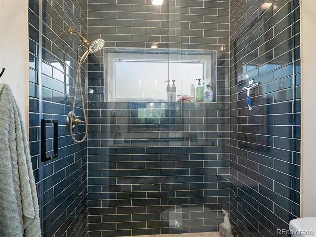 4252 S Meadow Brook Lane Evergreen, CO 80439