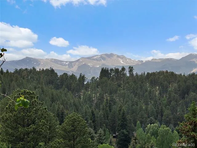 4252 S Meadow Brook Lane Evergreen, CO 80439