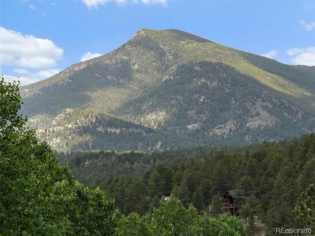 4252 S Meadow Brook Lane Evergreen, CO 80439