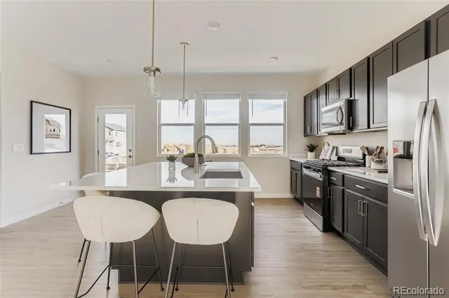 13293 Merrymaker Drive Firestone, CO 80504