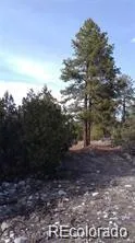 13 Tract 2 Costilla Place Alamosa, CO 81101
