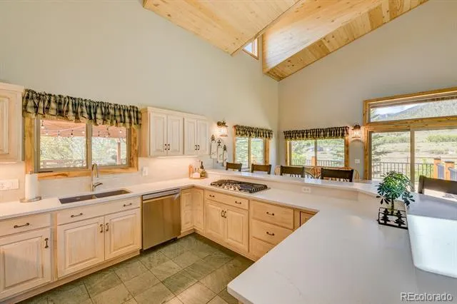 27100 County Road 342 Buena Vista, CO 81211