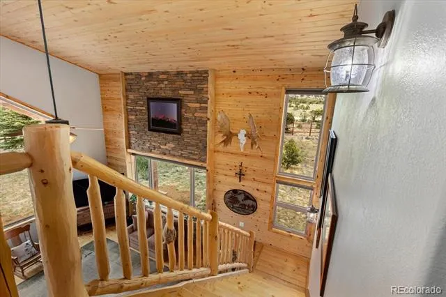 27100 County Road 342 Buena Vista, CO 81211