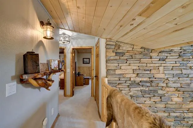 27100 County Road 342 Buena Vista, CO 81211