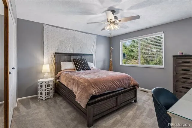 6521 S Allison Street Littleton, CO 80123