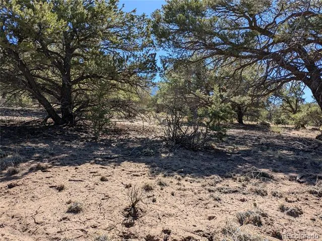 606 Peaceful Overlook Crestone, CO 81131