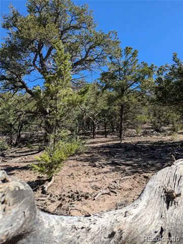 606 Peaceful Overlook Crestone, CO 81131