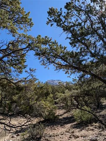 606 Peaceful Overlook Crestone, CO 81131