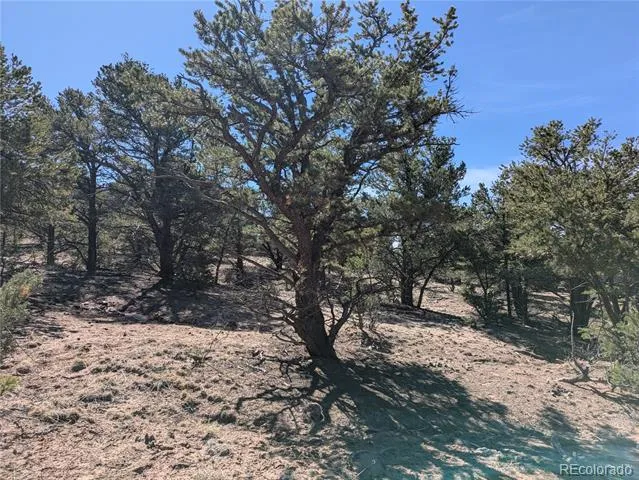 606 Peaceful Overlook Crestone, CO 81131