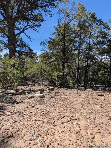 606 Peaceful Overlook Crestone, CO 81131