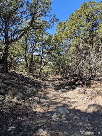 606 Peaceful Overlook Crestone, CO 81131