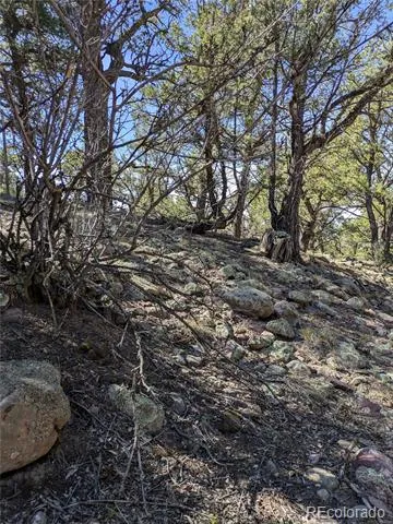 606 Peaceful Overlook Crestone, CO 81131