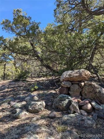 606 Peaceful Overlook Crestone, CO 81131