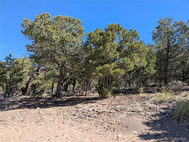 606 Peaceful Overlook Crestone, CO 81131