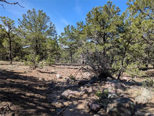 606 Peaceful Overlook Crestone, CO 81131