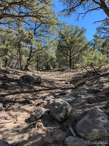 606 Peaceful Overlook Crestone, CO 81131