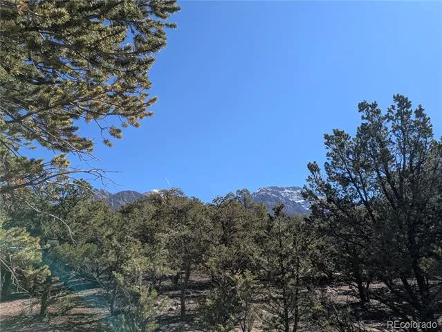 606 Peaceful Overlook Crestone, CO 81131
