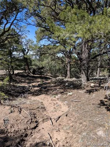 606 Peaceful Overlook Crestone, CO 81131