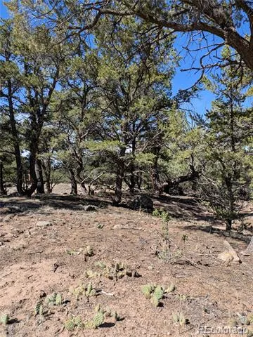 606 Peaceful Overlook Crestone, CO 81131