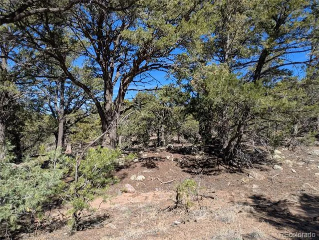 606 Peaceful Overlook Crestone, CO 81131