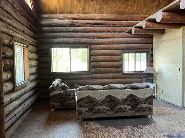 160 Birch Drive Twin Lakes, CO 81251