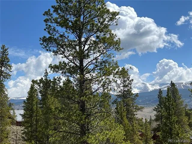 160 Birch Drive Twin Lakes, CO 81251