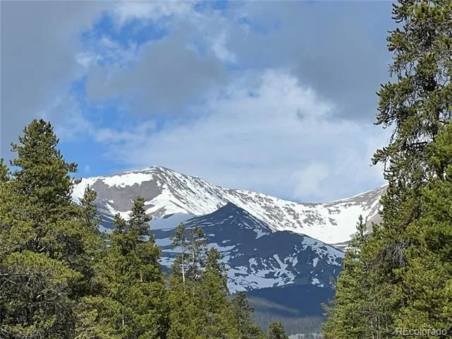 160 Birch Drive Twin Lakes, CO 81251