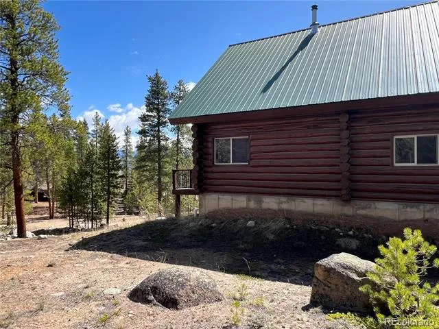 160 Birch Drive Twin Lakes, CO 81251