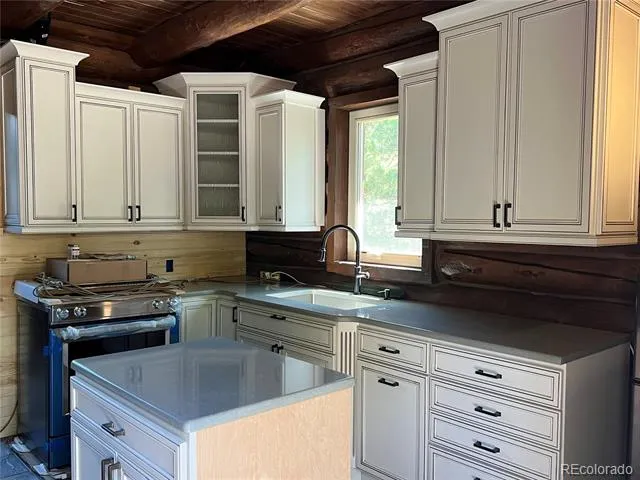 160 Birch Drive Twin Lakes, CO 81251