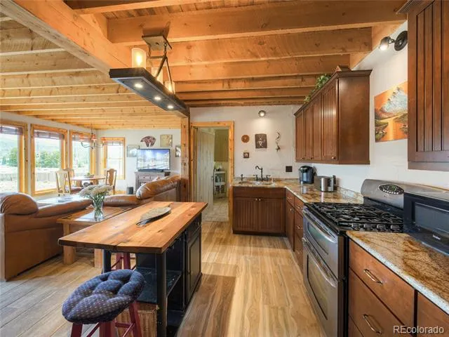 2867 Willow Creek Lane Fairplay, CO 80440