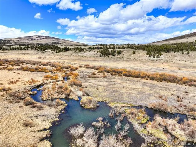 2867 Willow Creek Lane Fairplay, CO 80440