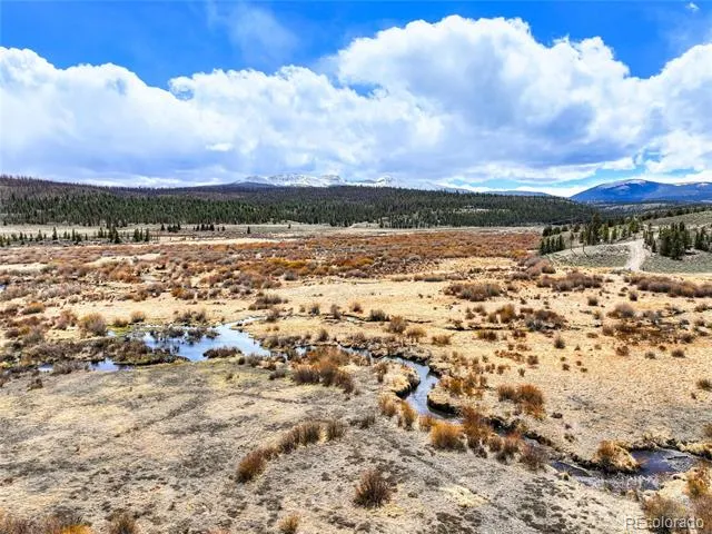 2867 Willow Creek Lane Fairplay, CO 80440