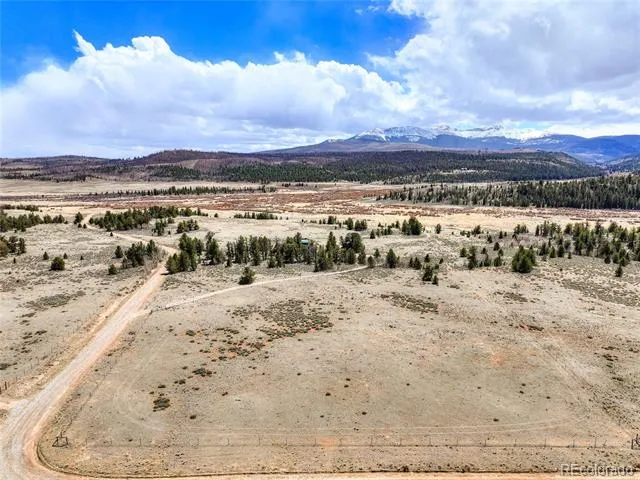 2867 Willow Creek Lane Fairplay, CO 80440