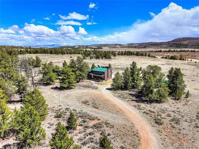 2867 Willow Creek Lane Fairplay, CO 80440